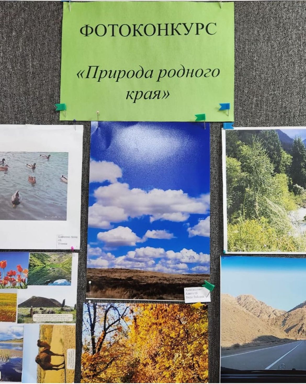 Менің туған өлкемнің табиғаты Природа родного края ФОТОКОНКУРС🏞️